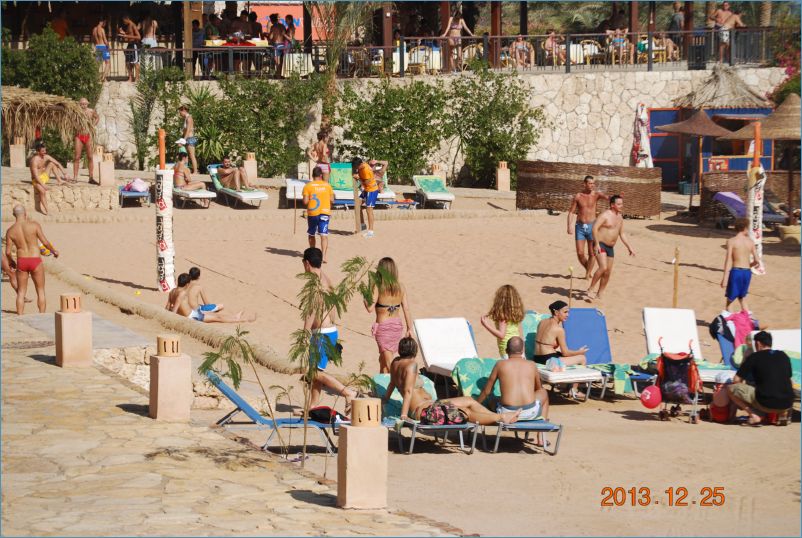 sharm 12 099